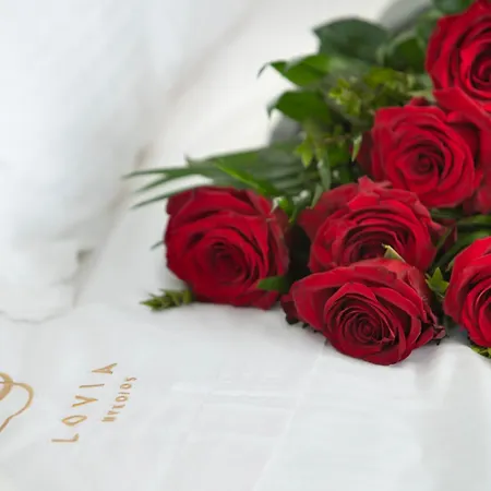 Lovia Mykonos (adults Only) Ξενοδοχείο Mykonos Town